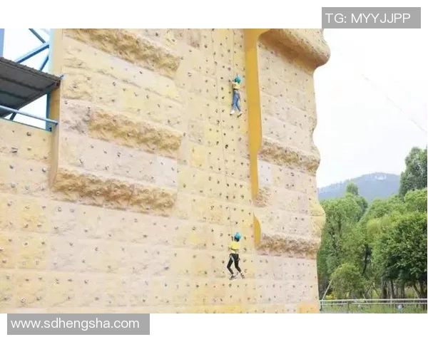 广州攀岩队心理素质提升之路探讨与热议