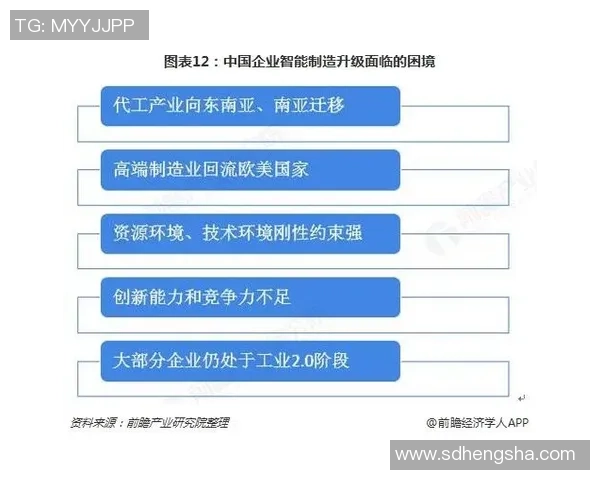 武汉乒乓球队的反击之路：从困境到崛起的全景解读与展望