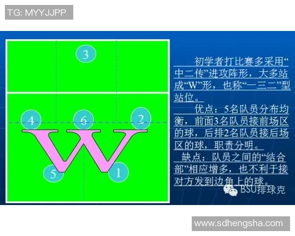 重庆排球队的转换打法深度分析与战术创新探讨 重庆排球队的转换打法深度分析与战术创新探讨