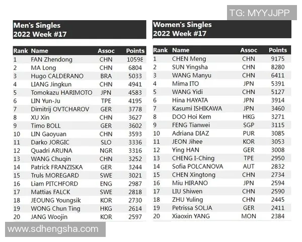 深圳网球队以84分领跑选拔赛积分榜展现强劲实力