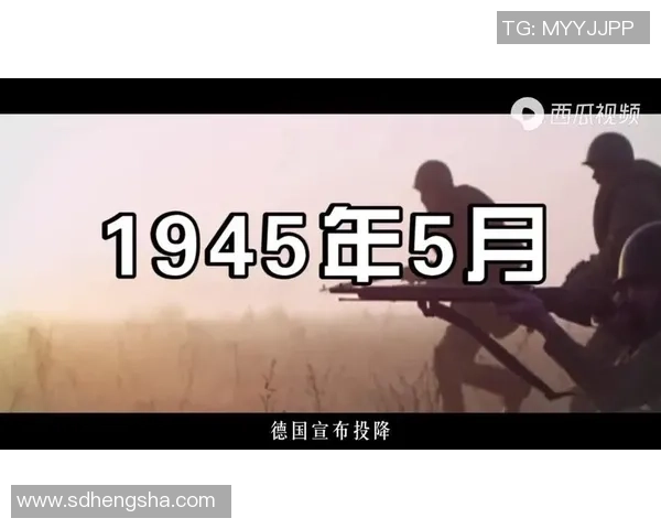 足球明星退役后不受惩罚的背后原因与影响探讨